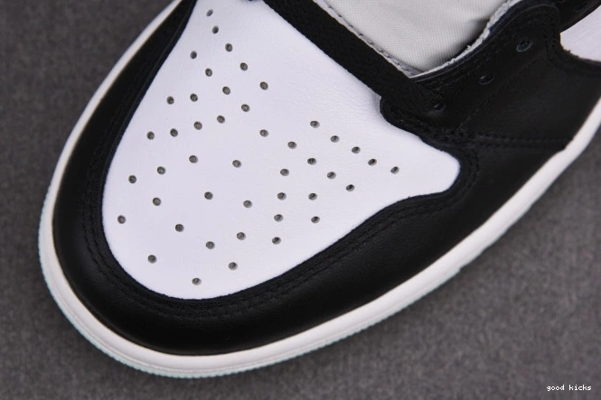 Rep Jordan Igloo Retro 861428-100 1 High 0729